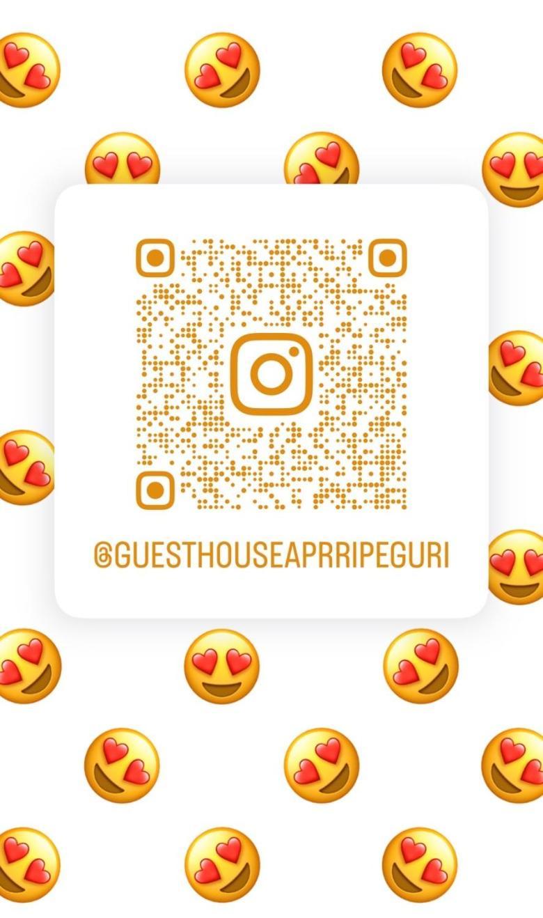 Guest House Aprripe Guri Fierza Bagian luar foto